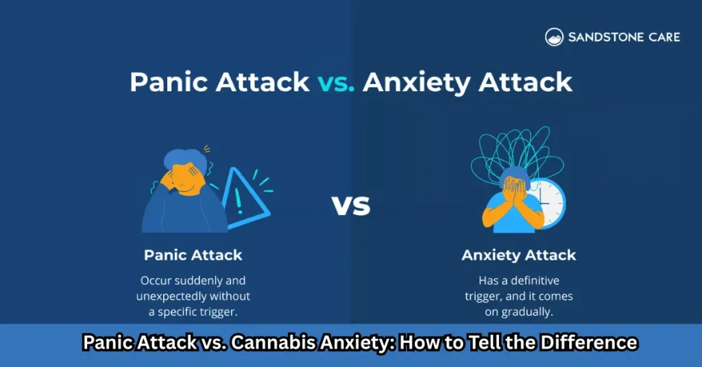 Panic Attack vs. Cannabis Anxiety How to Tell the Difference