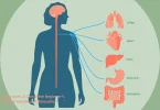 vagus nerve exercises a complete beginner’s guide to better health and relaxation