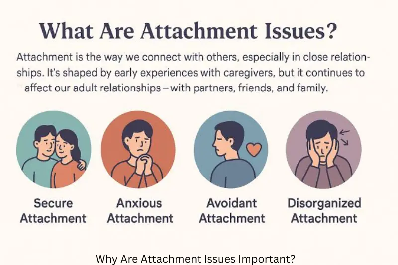 why are attachment issues important