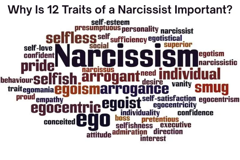 why is 12 traits of a narcissist important